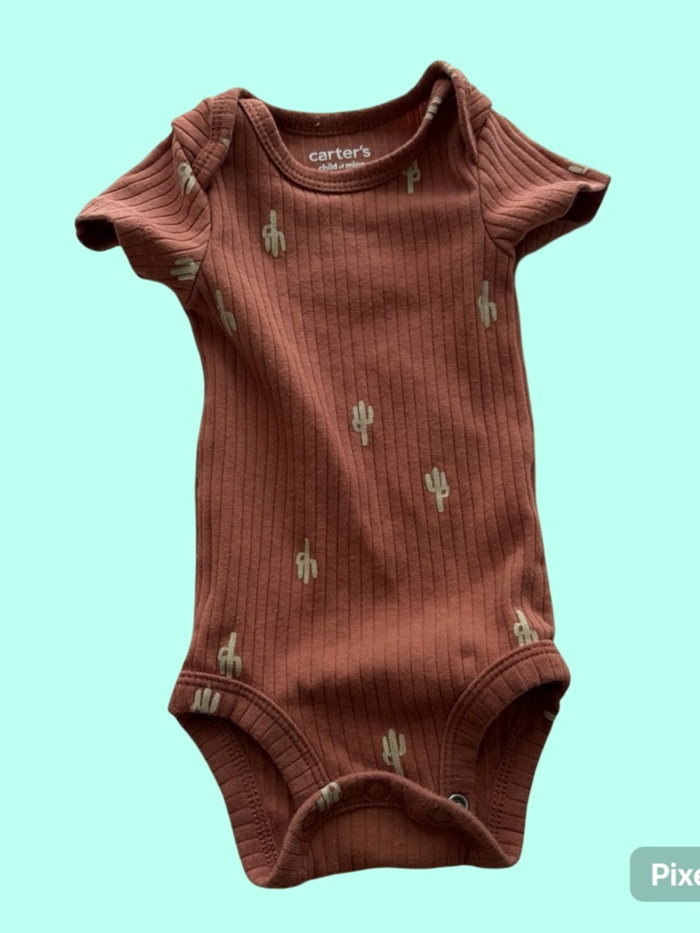 Carter's Rust Ribbed Cactus One-Piece Bodysuit - Picture 2 of 2